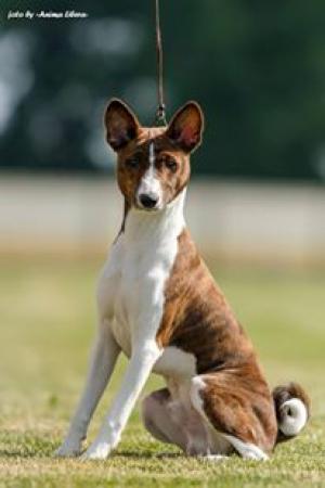 13321933 607219242776492 7850229725753124983 n