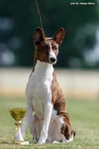 13332713 607451436086606 6632779435914165886 n