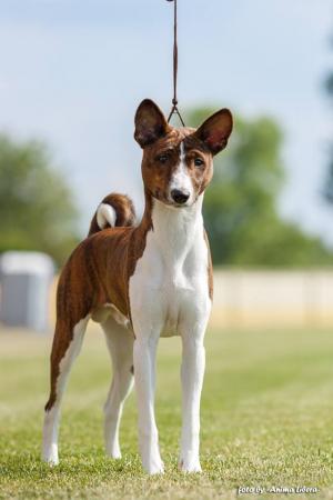 13335534 607451432753273 7142092262812579306 n