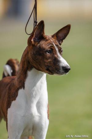 13346540 607451466086603 248227123866788127 n