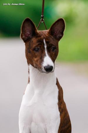 13690620 629597557205327 7833669920980164067 n