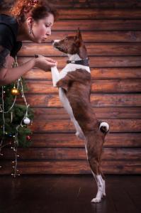 15941257 721498348015247 4793788196992071790 n