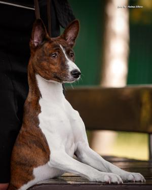 16473481 737921419706273 2093521031622233693 n