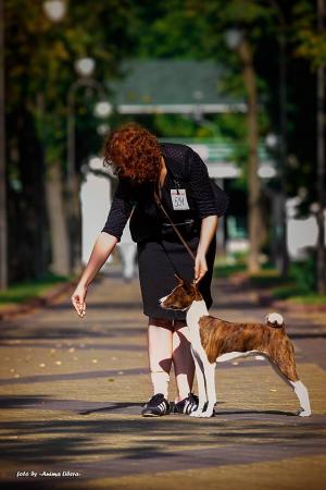 16603003 737921283039620 568532584094018937 n