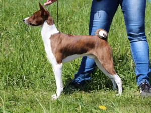 18527014 794345810730500 4804356663477958986 o-4