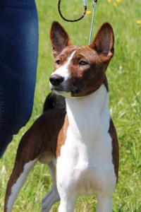 18527111 794345774063837 2134362235465019737 o-2