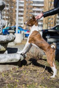 29872991 978097969021949 3888517739426878640 o