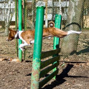 30412315 428505867589768 5093212638981128192 o