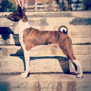 30714000 431248287315526 1538966170332299264 n