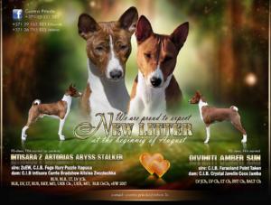 37404777 1053472248151187 4482602318239367168 n