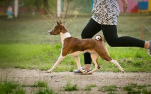 69322118 1363168267181582 7175843049610674176 o