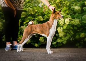 69593883 1366606090171133 621326478893645824 o