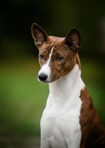 69663836 1364811733683902 7860854526180327424 o