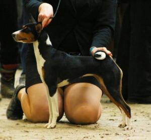 168907169 1898689266962810 4873761673633571428 n