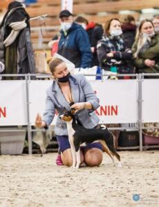 301 cacib 29.11.2020-19264-1280-768-80