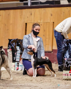 mono 5 gr 13.12.2020 - 230 -165